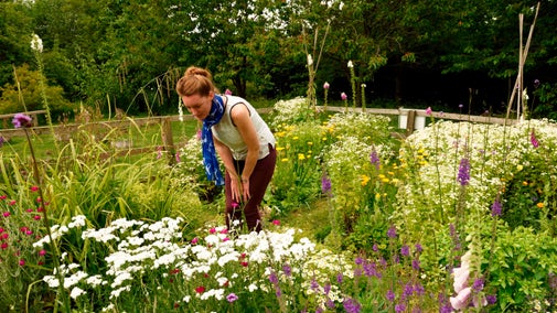 A visitor admiring flowers in bloom in the garden at Cherryburn